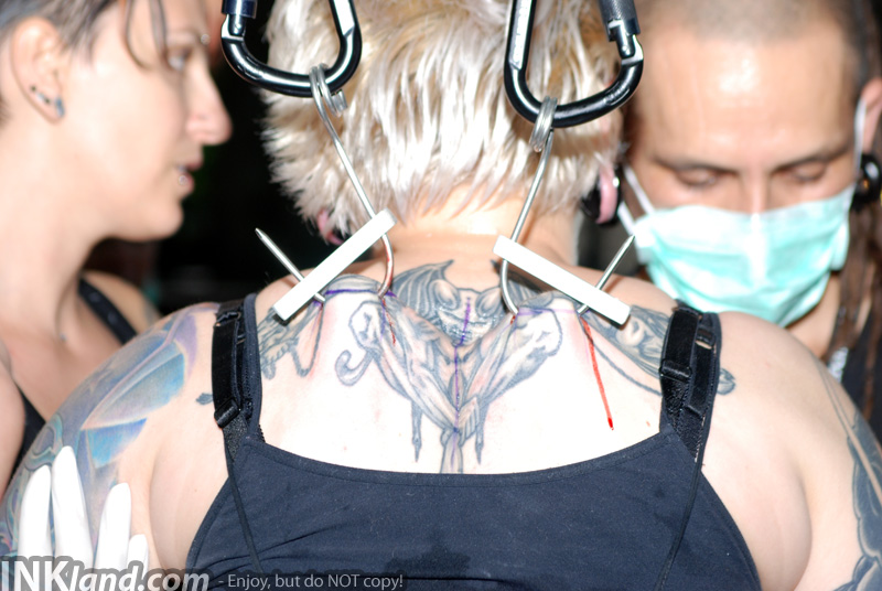 Bild des Tages 28. Jan. 2010 - BMXnet Suspension by Superfly